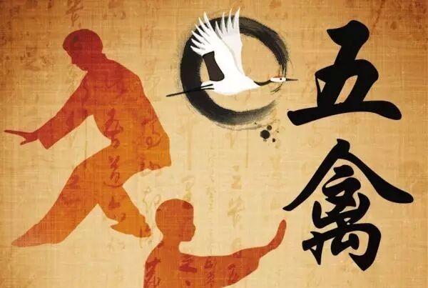 五禽戏有多好?霍建华告诉你!武术世界频道今天开练!