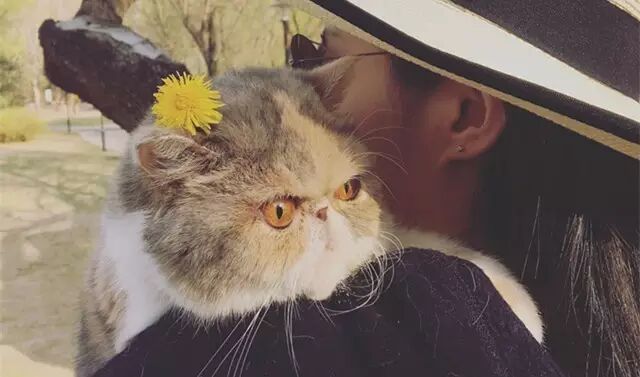 这这个日本成人游戏玩到你腿软，那些用虚拟现实看AV的都弱爆了