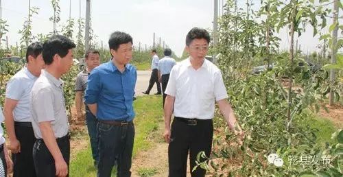 【要闻】县长谢军到梁山镇、阳峪镇检查指导现代果业生产建设工作