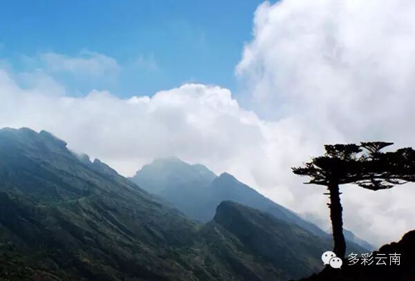 【云南的山】云南最高、最美的16座山峰大盘点，登山徒步爱好者的天堂！