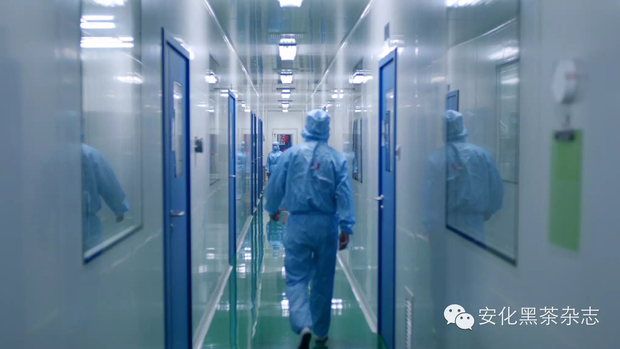 湖南华莱】华莱是怎样崛起的---五次转型的成功