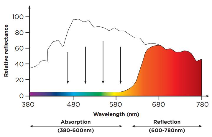 如何让物体产生色彩