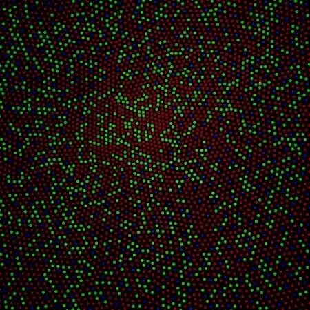 人眼的色彩知识