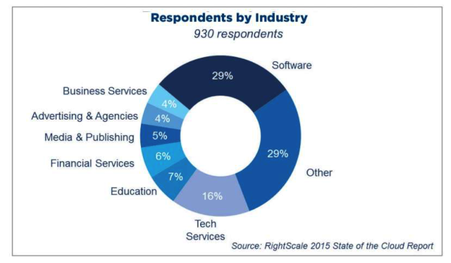 2015年度云计算使用调查报告(图3)