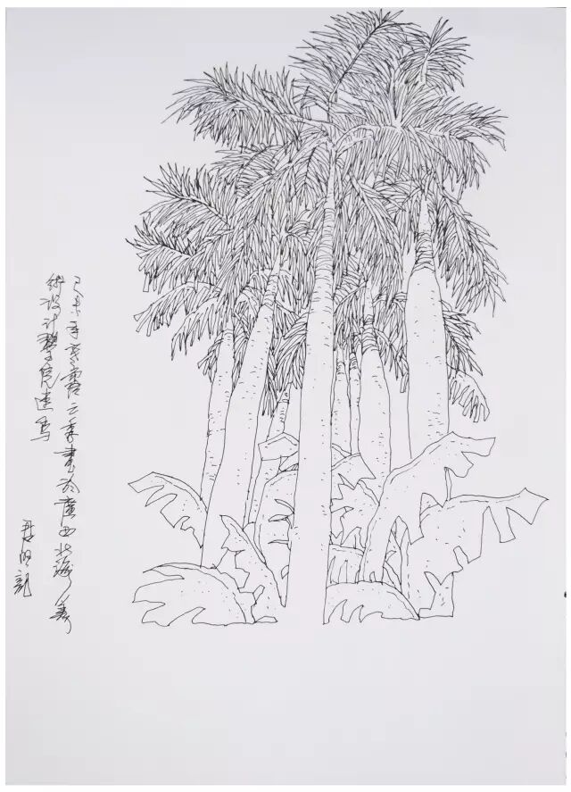 学院15级师生赴涠洲岛写生------崔君旺教授速写教学实录