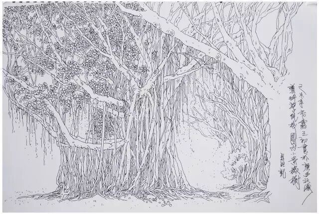 学院15级师生赴涠洲岛写生------崔君旺教授速写教学实录