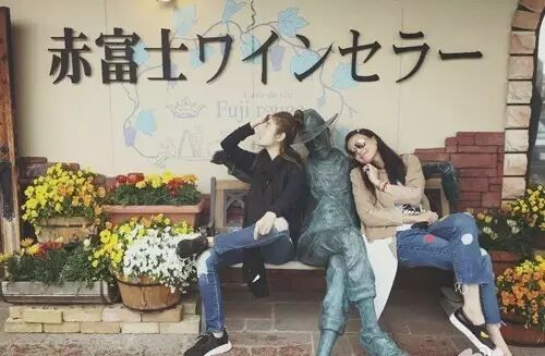 林心如,舒淇,范冰冰,李晨,吴奇隆,陆毅……男神女神...