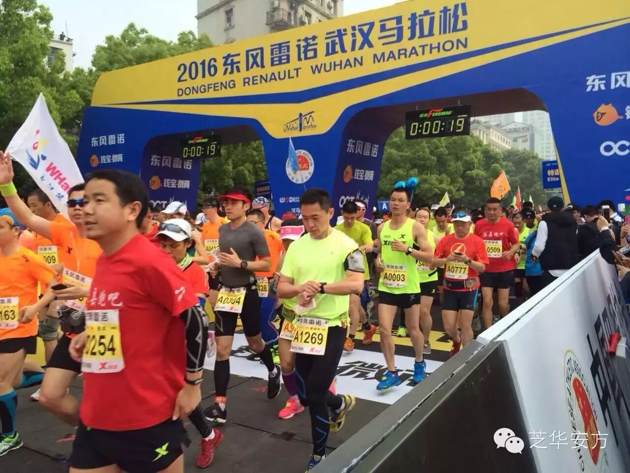 范冰冰亲临大武汉首届汉马好评如潮