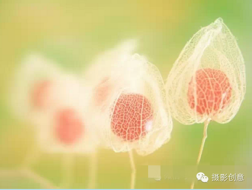 【转载】有一种尊重叫:守口如瓶 ! - xhj9988 - xsj9988的博客 有一种尊重叫:守口如瓶 ! - 随缘(宗忠) - m15610087517的博客
