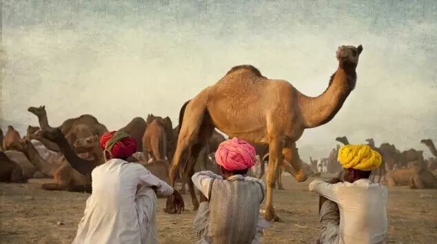 女子入洞房前后的区别..... 在工作生活中也一样，看了你就会懂很多！ 第2张