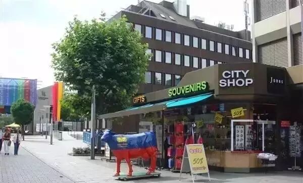 列支敦士登国旗含义_列支敦士登人均gdp(2)