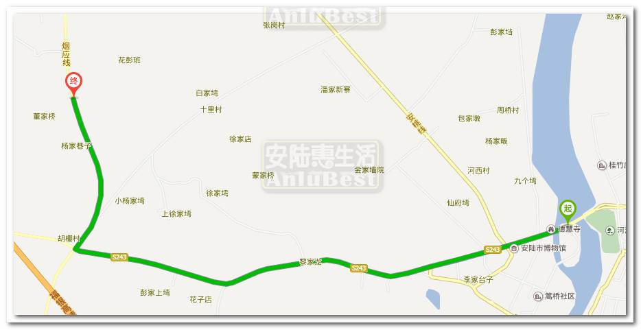 甜过初恋的葡萄又熟了!附安陆最全葡萄采摘地图,拿走不谢!