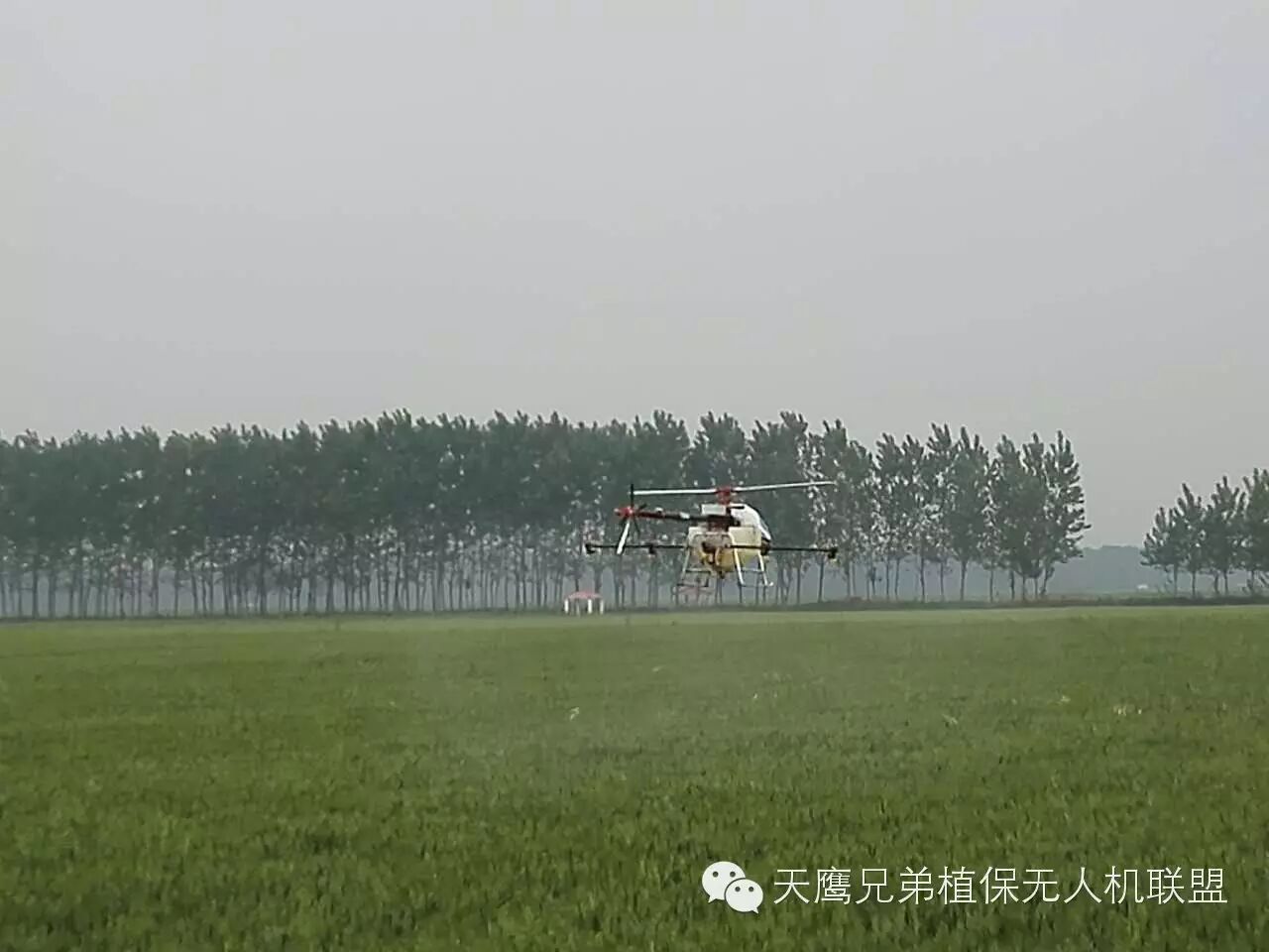 【飛防快訊】 飛機(jī)打藥來(lái)俺村！