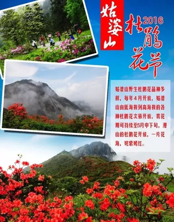 紫嫣的意思_紫嫣_张紫嫣