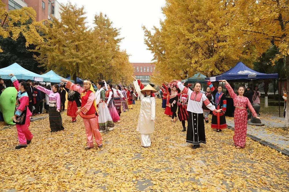 西南民族大学迎新网_西南民族大学法学院官网_云南民族大学迎新系统