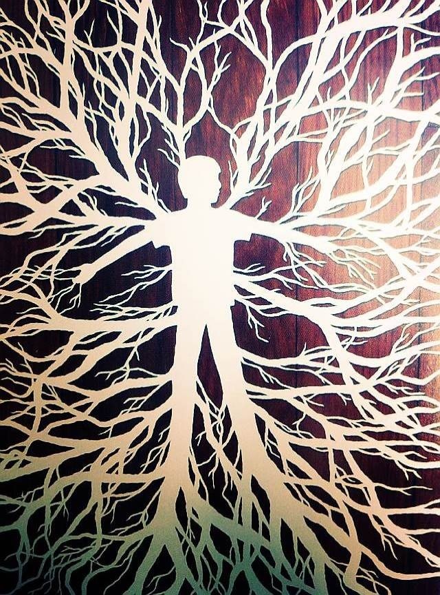 早点“养”血管，胜于老来“治