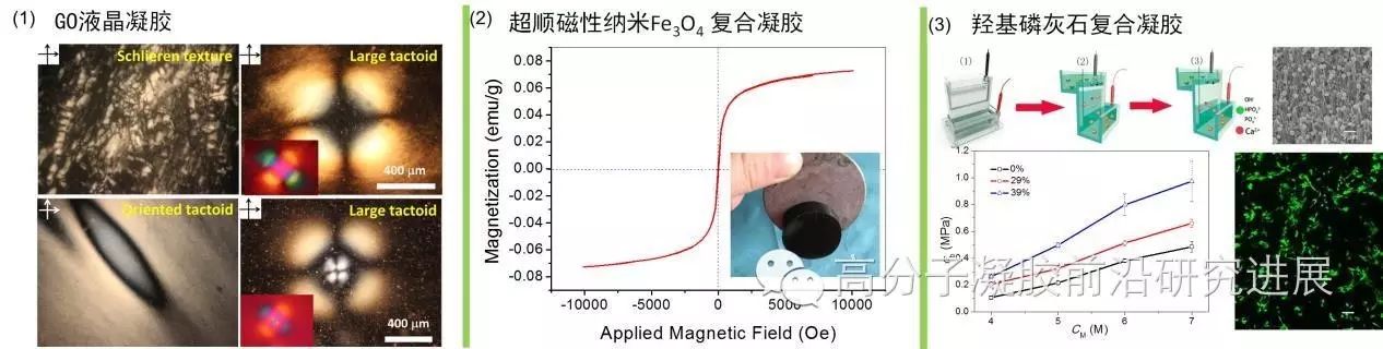 向pficc凝胶引入超顺磁性纳米fe 3o 4制备复合磁性凝胶[ acta phys.