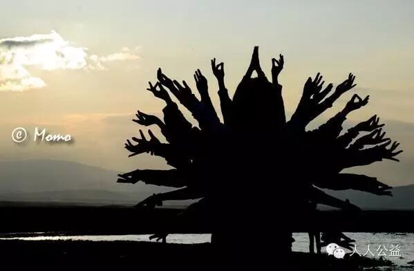 环保公益创业_环保公益项目个人发起如何正名_公益环保创业项目背景