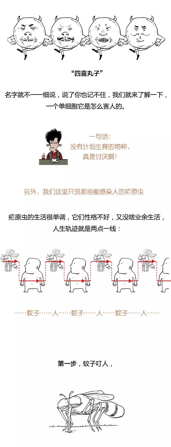 爆笑科普！！屠呦呦到底对疟原虫干了什么？ -艺萌-万维博客-万维读者网（电脑版）, image size:600x1565