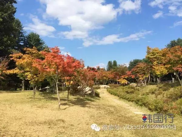 【攻略】南韓 首爾釜山八天自由行