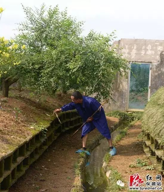 致富经养肉蛇_致富经蛇养殖视频全集视频_致富经养蛇