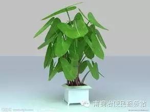 南铜冶人物:李健