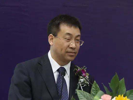 张杰:金融资源跨时配置与国有银行体系的角色
