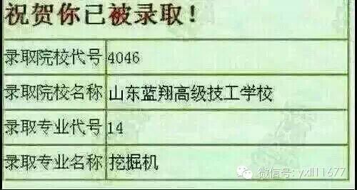 蓝翔为什么这么火？