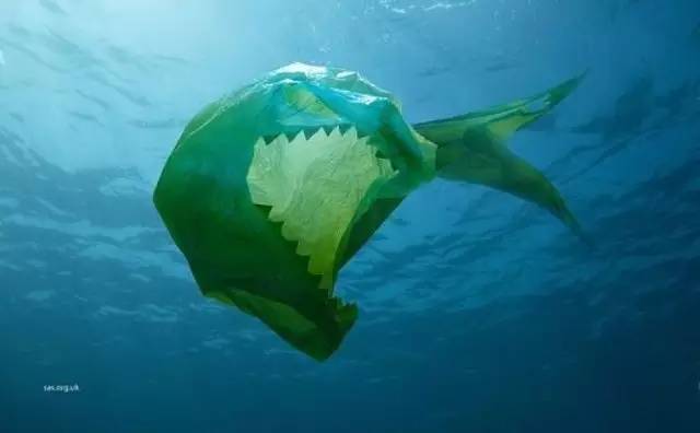 海洋塑料满地，食品安全告急！