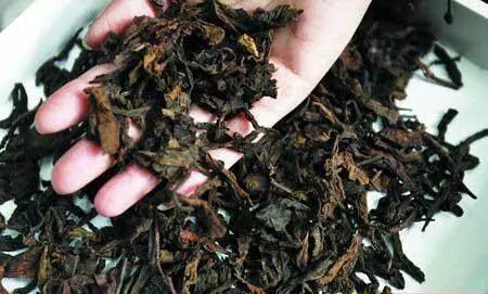 生姜吃发绿能变白吗_生姜发绿能吃吗?_生姜吃发绿能吃不