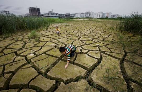 中国农业为什么和日本整整差50年? - 捕鱼者 - 做现代有机农业 享健康快乐人生 中国农业为什么和日本整整差50年? - 捕鱼者 - 做现代有机农业 享健康快乐人生