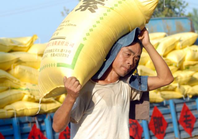 中国农业为什么和日本整整差50年? - 捕鱼者 - 做现代有机农业 享健康快乐人生 中国农业为什么和日本整整差50年? - 捕鱼者 - 做现代有机农业 享健康快乐人生