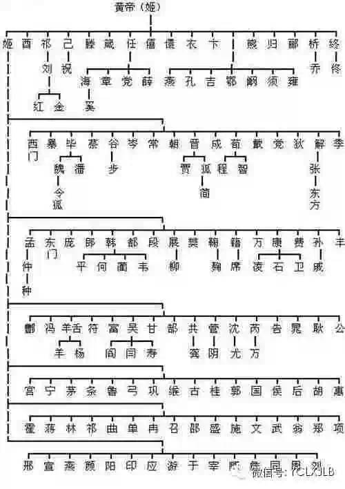 中国各姓氏的血统图!