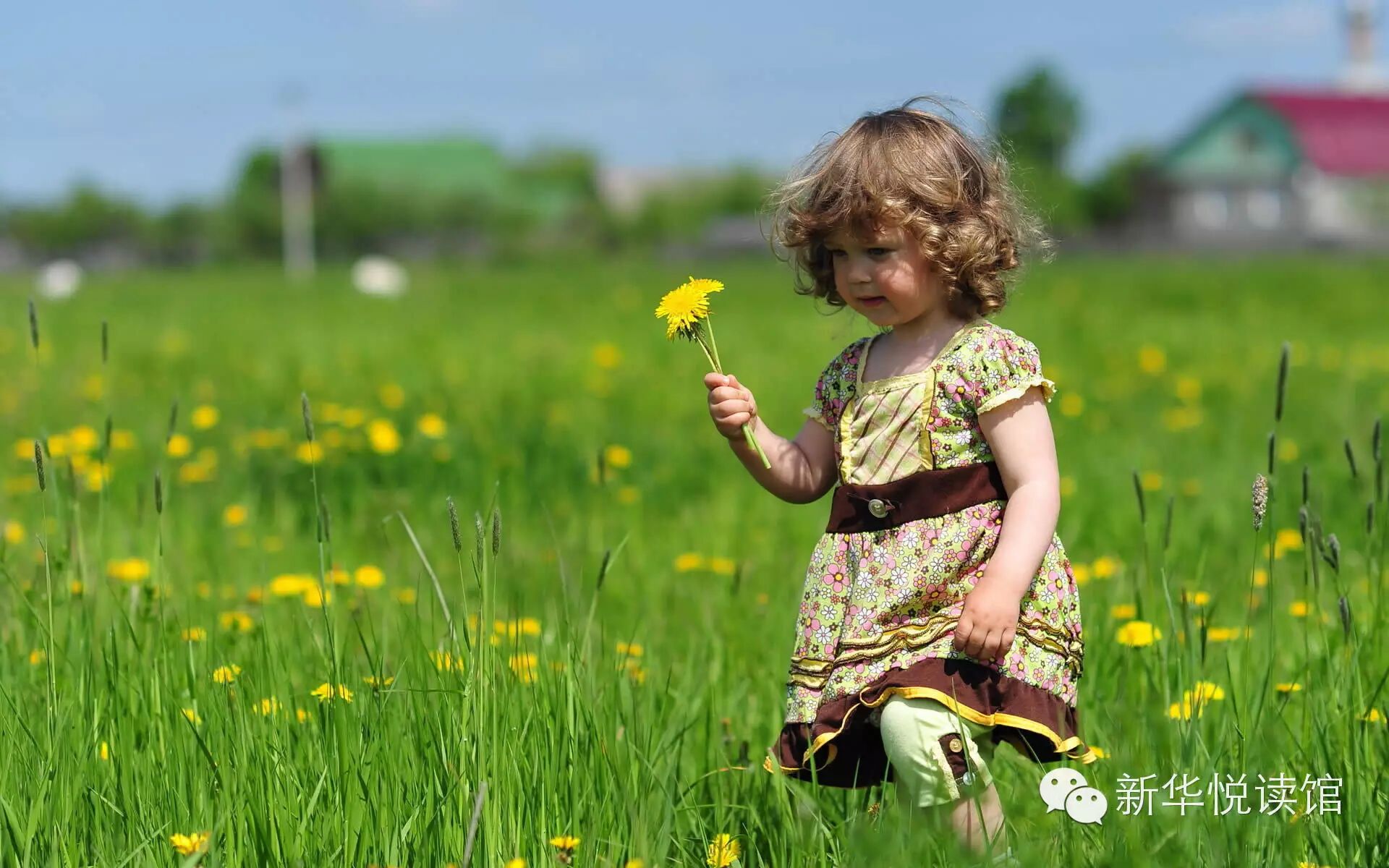 家有“二胎”的成长镜头 龙应台:孩子你慢慢来-怀孕期