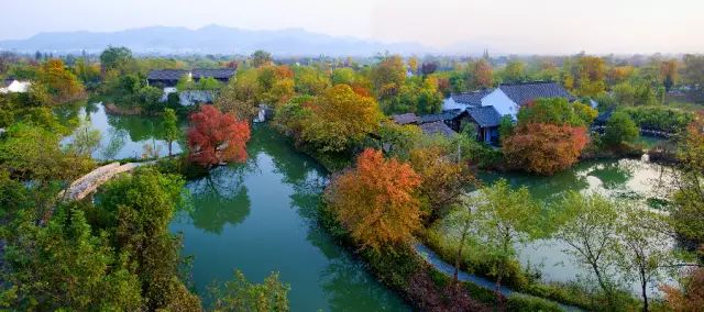 西溪杭州湿地旅游区庶女攻略娘十一怀孕图片