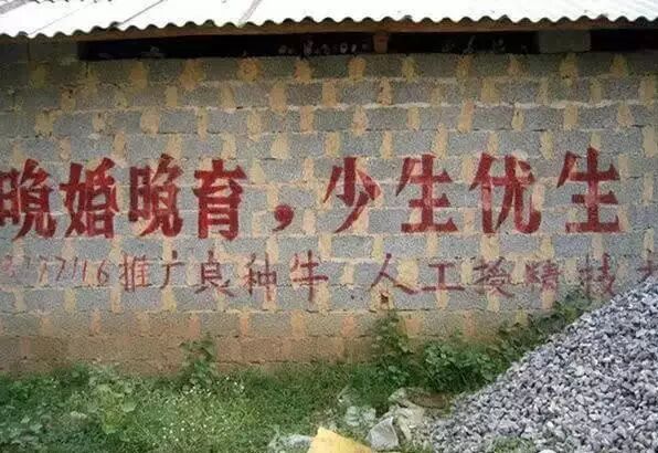 【聚焦二胎】奶粉“140亿”馅饼吃货大赛-怀孕期