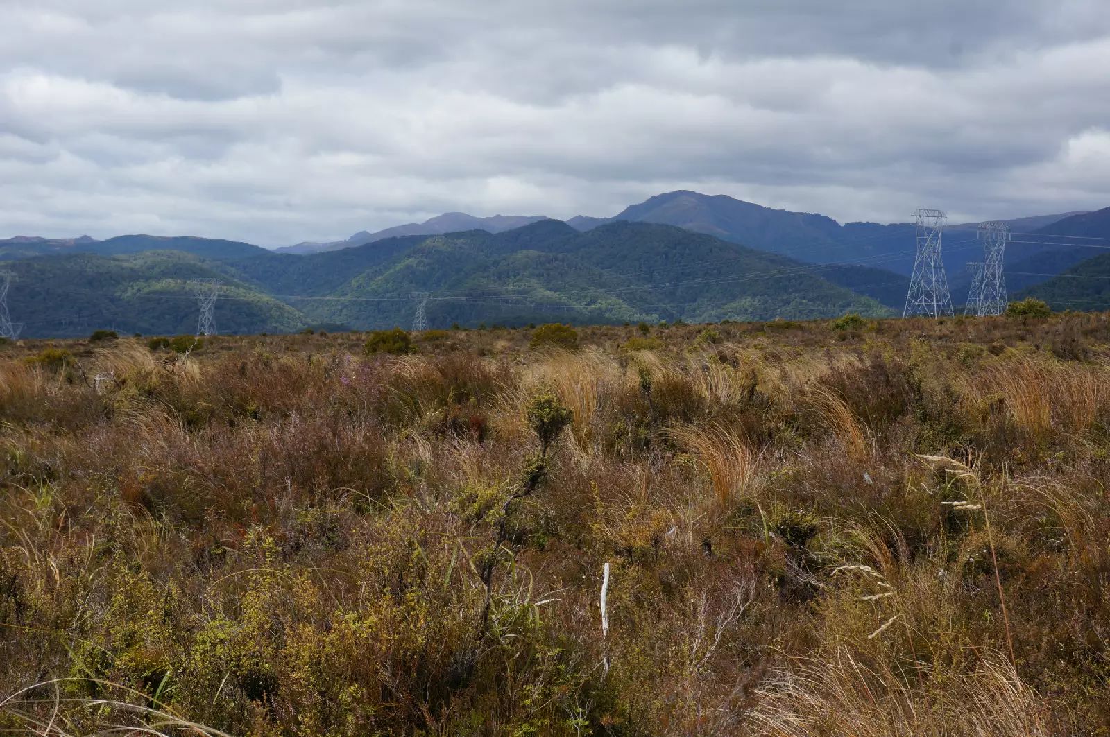 《杨乐专栏 | 向惠灵顿出发》