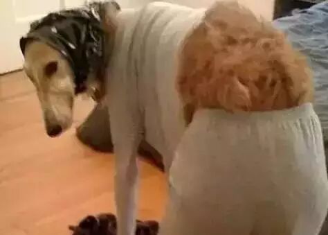 据说最近恭城人都在忙同一件事......209 / 作者:火星娃崽 / 帖子ID:113285