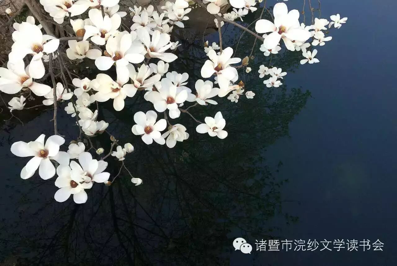 诸暨苧萝村怎么读_诸暨市怎么读_诸暨香榧子怎么读