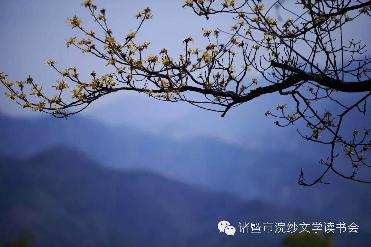 诸暨市怎么读 【越读】17期 妙趣横生的诸暨土话