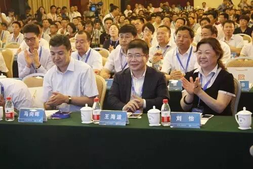 中国互联网大会召开 小县域·大产业·新经济峰会受关注