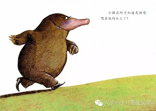 小鼹鼠终于知道是谁嗯嗯在他头上了!