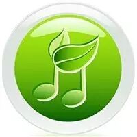 春光里听爵士 与Norah Jones“远走高飞”