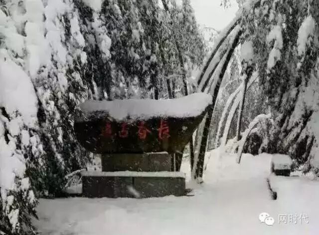 南方雪村--紫阆