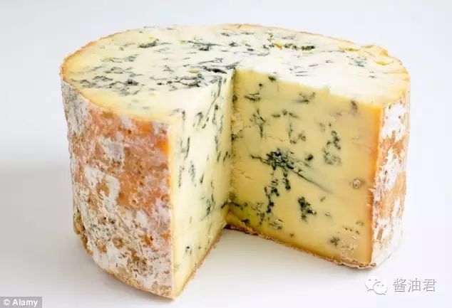 史蒂顿奶酪   stilton cheese