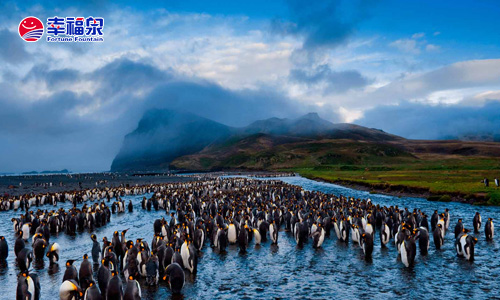 【育儿信息】家长如何正确的引导宝宝看电视！