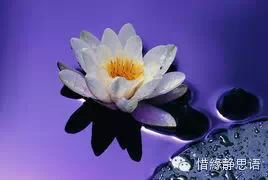 我 问 佛(太美了!) - 小木屋 - 小 木 屋 的 家 园 我 问 佛(太美了!) - 小木屋 - 小 木 屋 的 家 园