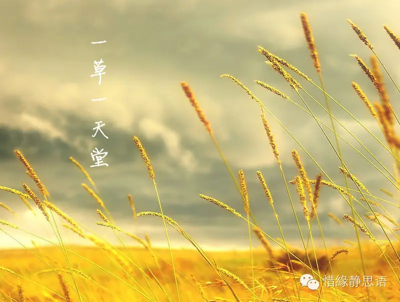 我 问 佛(太美了!) - 小木屋 - 小 木 屋 的 家 园 我 问 佛(太美了!) - 小木屋 - 小 木 屋 的 家 园