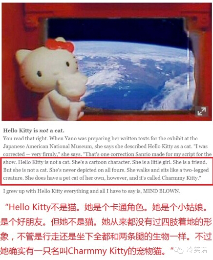 Hello Kitty原來不是貓？！看完我都要哭了 親子 第4張