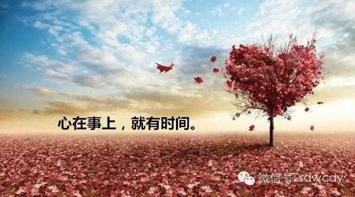 苏州网站建设选择苏州菜根谭网络科技，苏州竞价搜索推广为您报道：世上没有什么比努力更能走向成功的捷径了